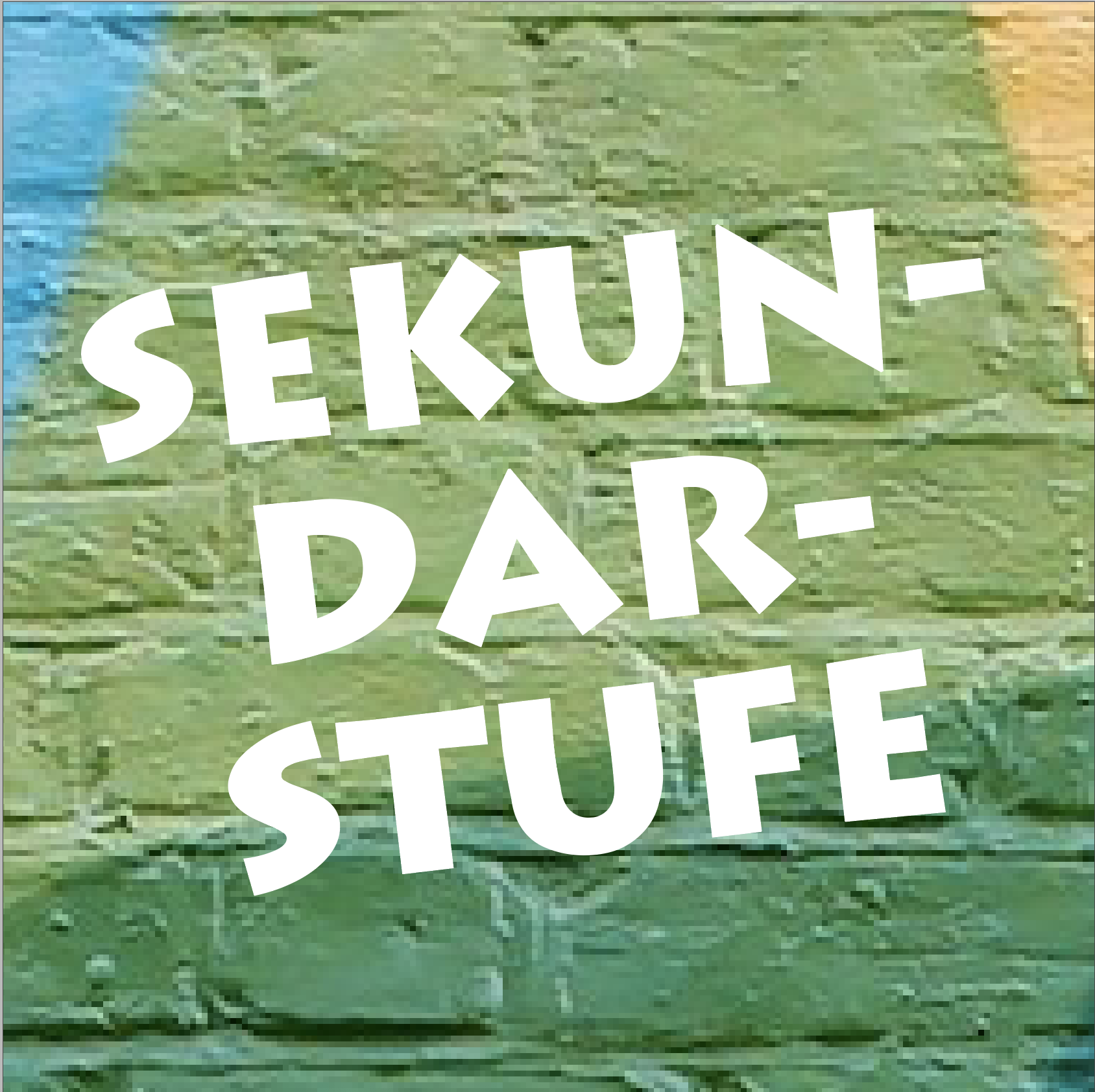 Picto_Sekundarsturfe